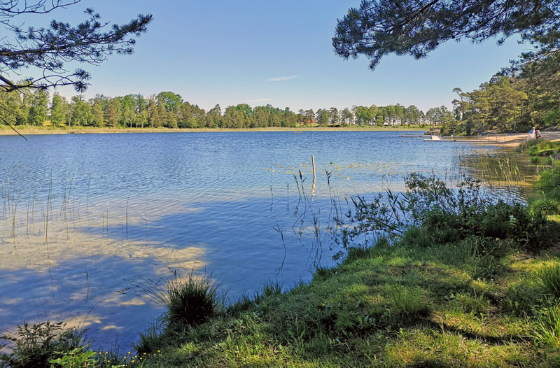 Sigvalde träsk - nytt fiskekortsvatten på Gotland