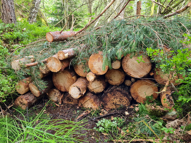 Viktig klimatanpassning av vattendrag i Väst