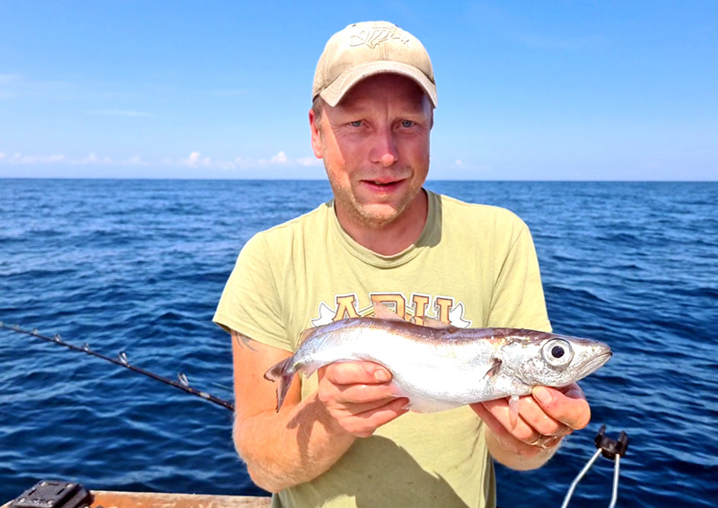 Två ovanliga sportfiskerekord från havet