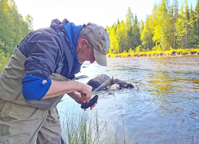 Sportfiskarna deltar i nytt LIFE-projekt i Norrbotten