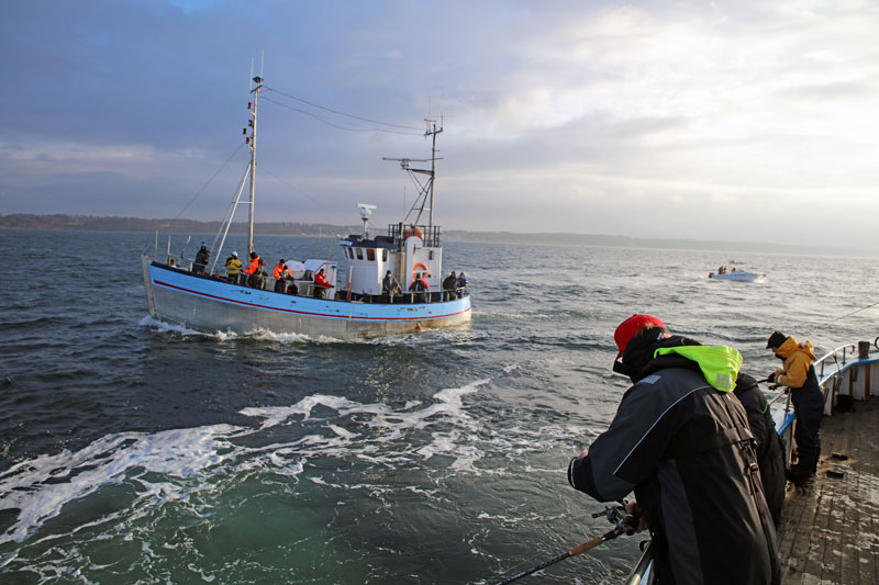 Sportfisket i Öresund kan hotas av nya fiskeregleringar