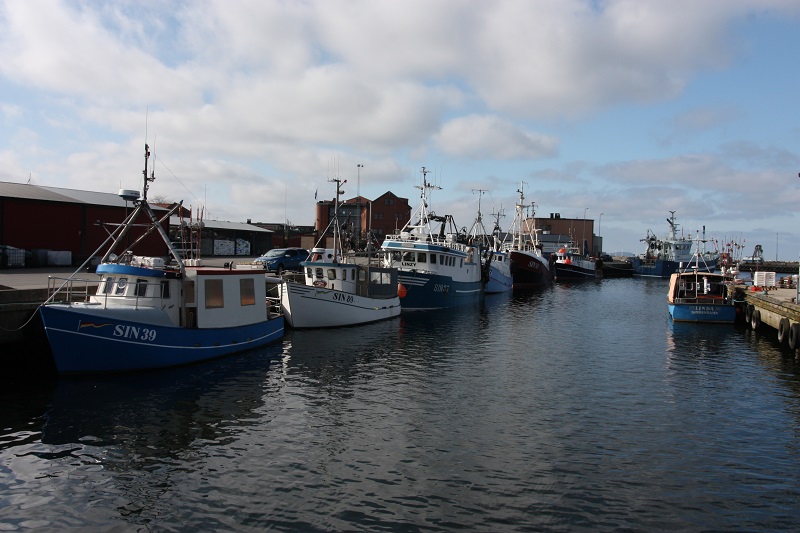 Både ökat och minskat fiske på Östersjöströmmingen 2023