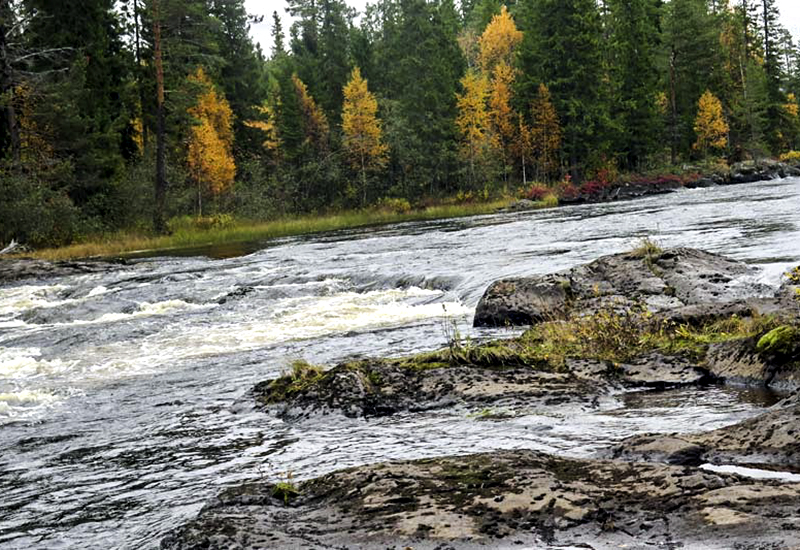 Sportfiskarna överklagar färska domen om Ejforsen