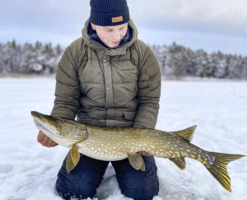 Östersund gav Sportfiskarna gädduppdrag i Lillsjön – så gick det