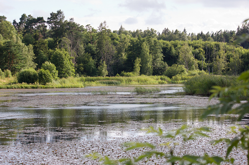 Nytt fiskekort för Holmadammen!