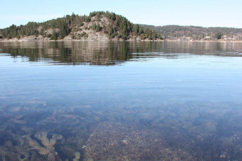 Uppstartsmöte om havsmiljön i 8+fjordar