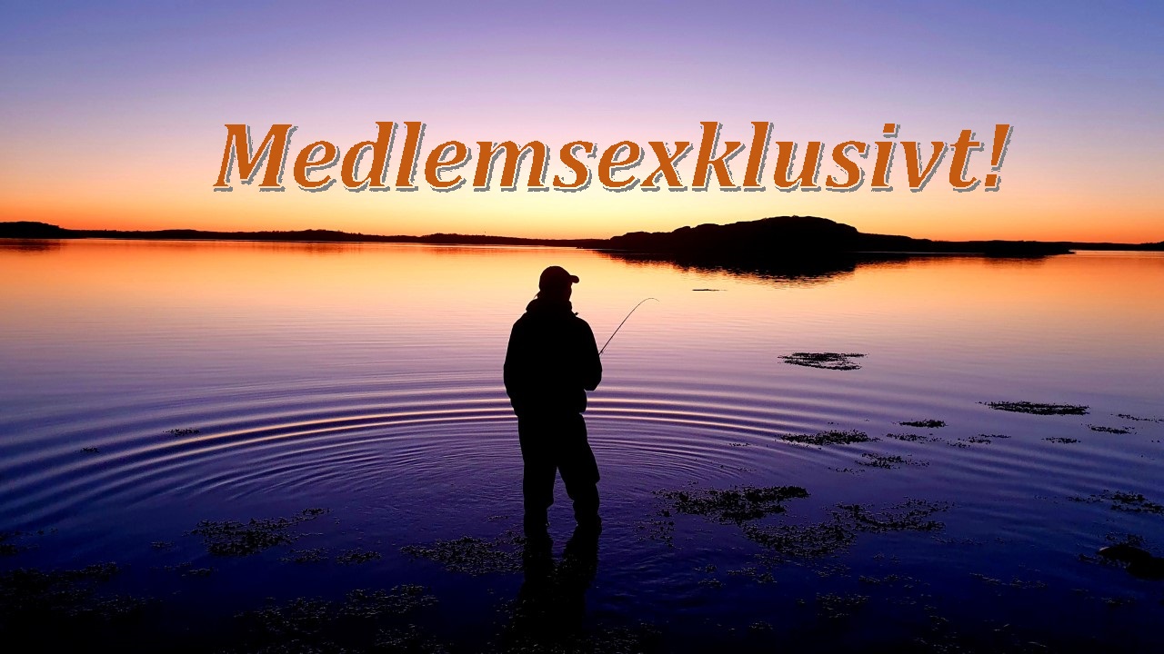 Medlemsexklusivt: Havsöringskväll i Göteborg 30 mars