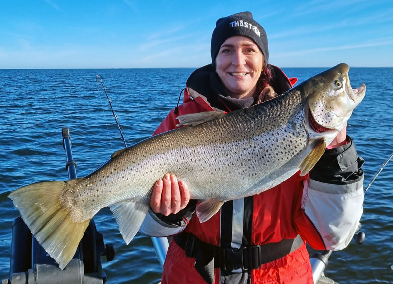 Informationskvällar om fiske i Vänern