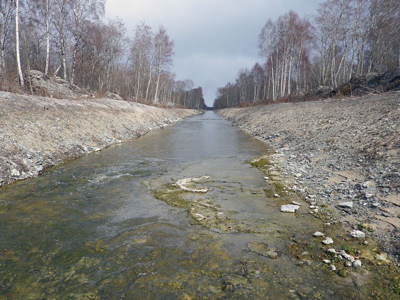 Vattenbrist en tydlig orsak till öringens problem på Gotland