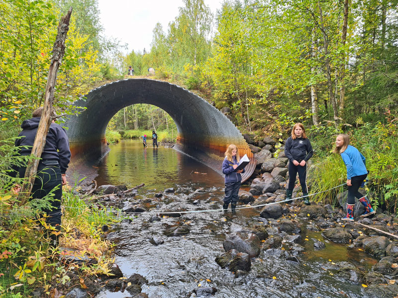 Fiskevård på schemat i Region Norr