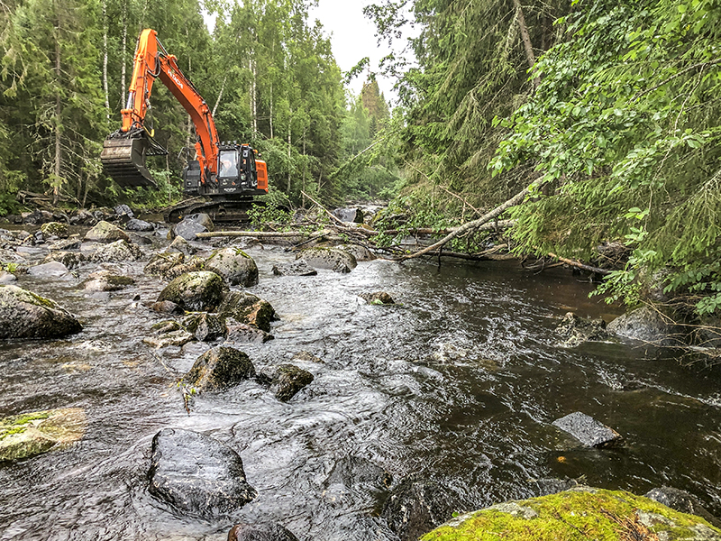 Fritt fram för fisk, kräftor och musslor att frodas i Björkån