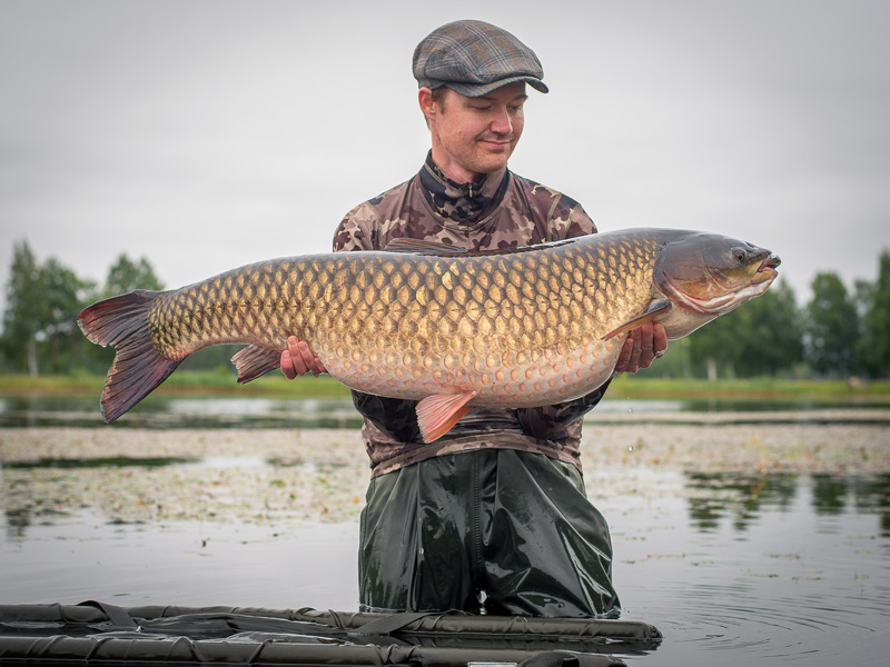 Två nya sportfiskerekord – gräskarp och kolmule