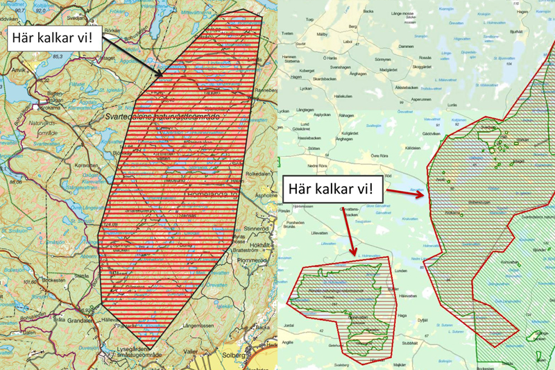 Kalkning av Svartedalen-sjöarna