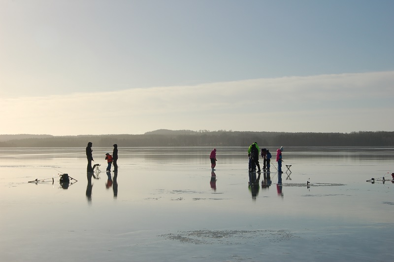 Sök bidrag för fiskeaktiviteter 2023 – Ansökan öppen!