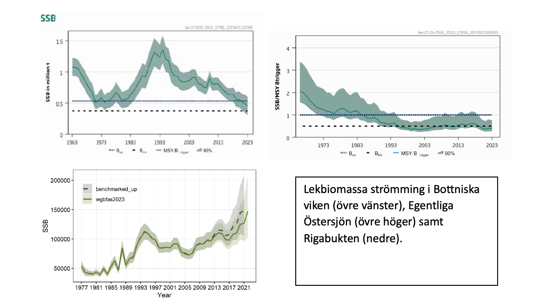 Skärmavbild2023-10-1...