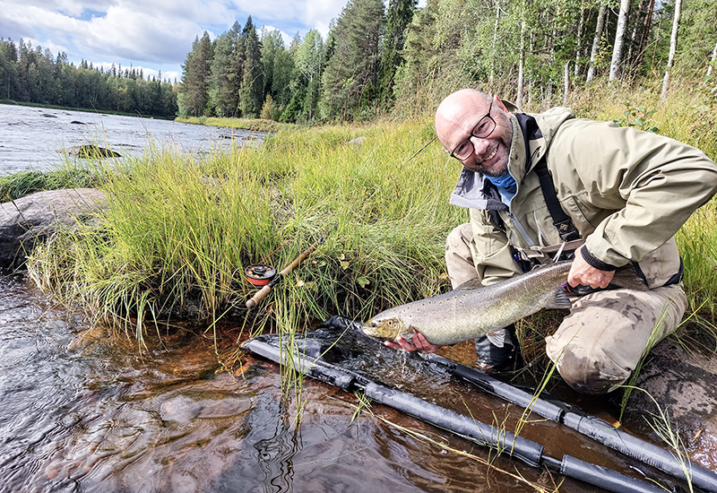 Kraftsamling i norr – konferens om laxen och öringen