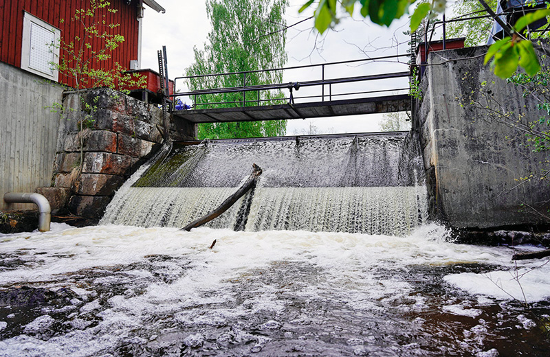 Fiskevårdshistoria skrivs när Sportfiskarna storsatsar i Stångån