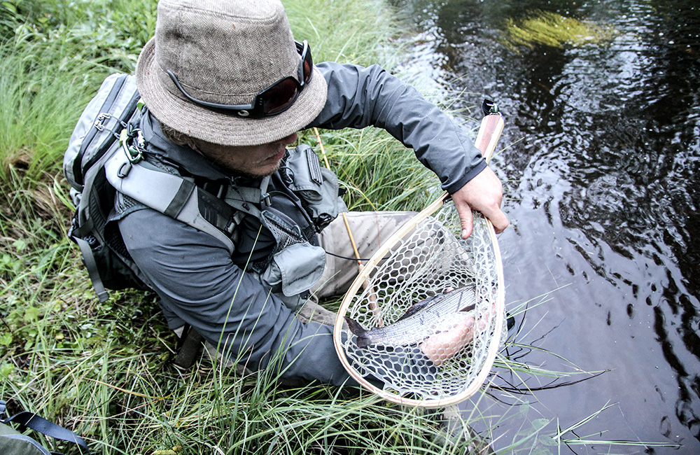 Fisken fredas i Västerhocklan genom nya regler