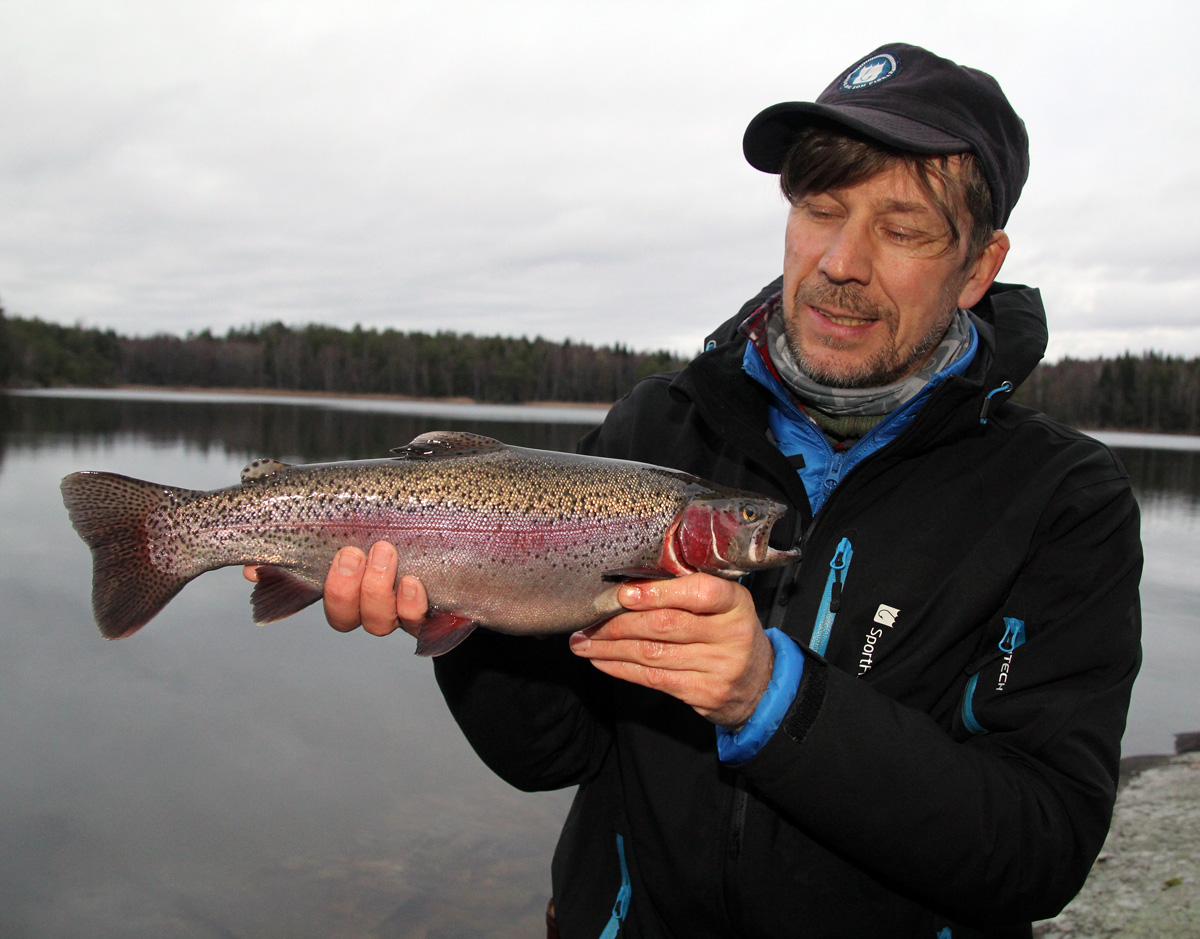 Klart för utsättning av fisk i Svartedalen-sjöarna
