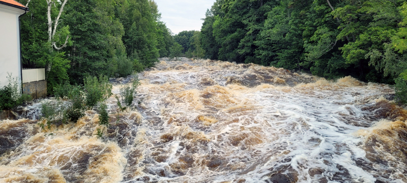 Ovädret Hans hindrar fiskevården