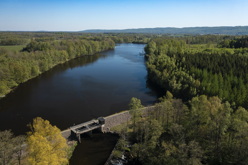 Från kraftverksdamm till naturlig ström: återställningen av Rönne å 