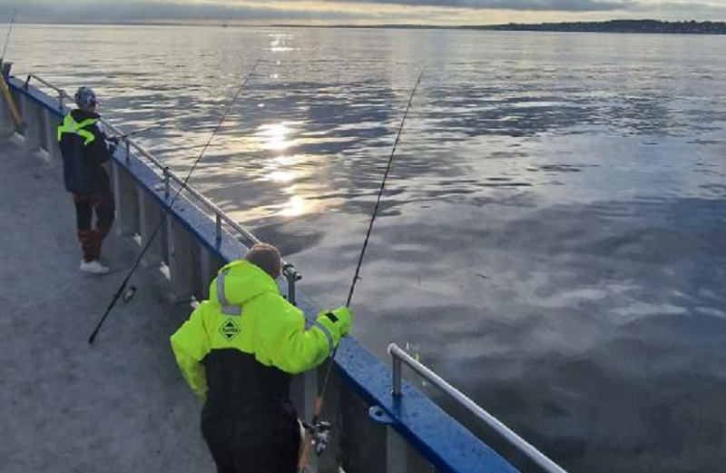 Häng med på Helsingborgsbåtarnas läger i Öresund under höstlovet