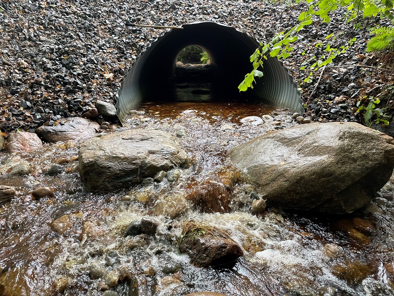 Nu får fisken det ännu bättre i Skärsjöbäcken