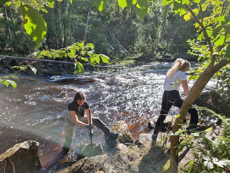 Starka armar och bra samarbete förbättrar Hedströmmen