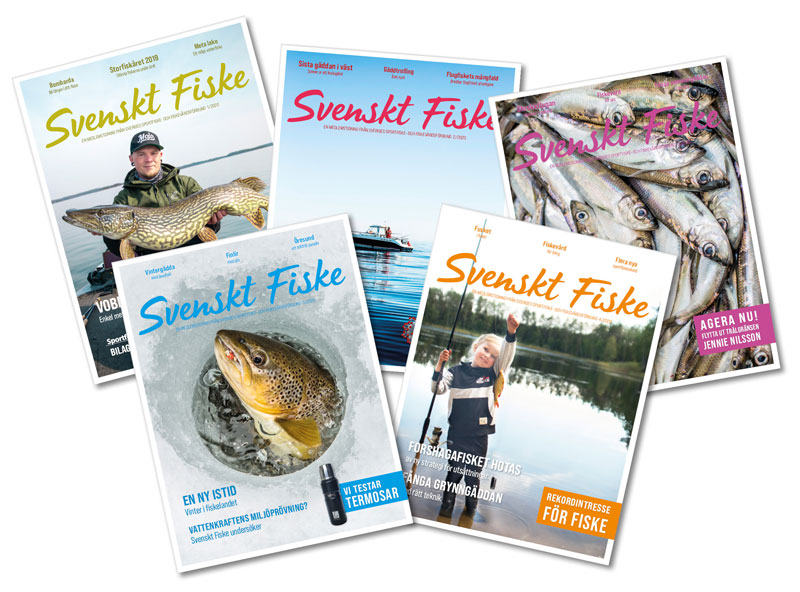 Läsarundersökning om Svenskt Fiske