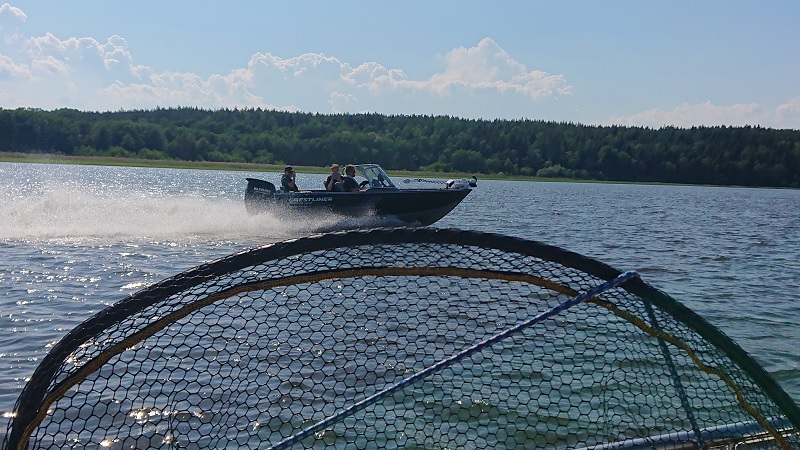 Predatorfiskeklubbens ungdomsläger är tillbaks!