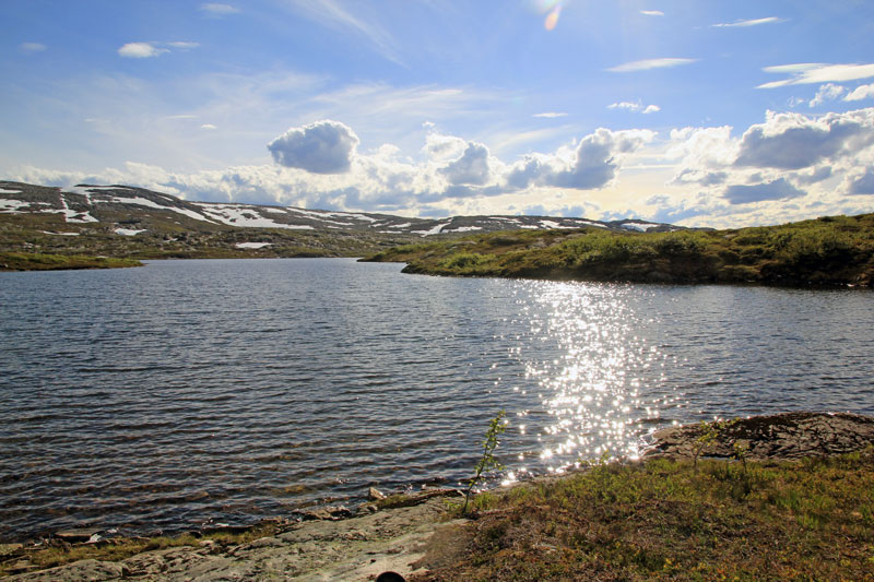 fjällfiskebild-800
