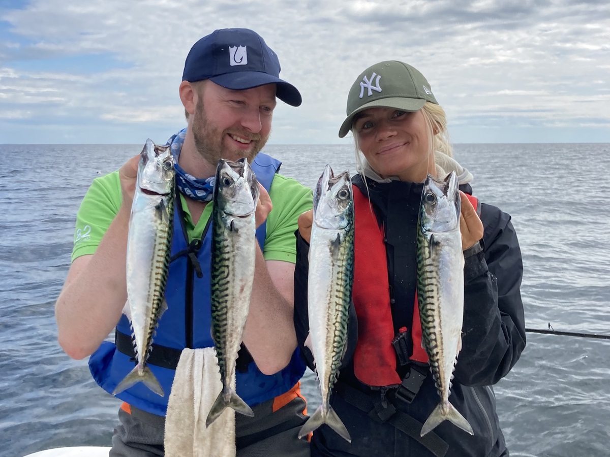 Fritidsfisket omsätter stora belopp i Sverige