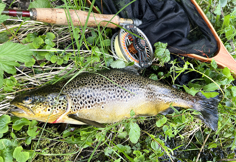 JK: Girjasdomen inget prejudikat – uppmanar politiken att gripa in