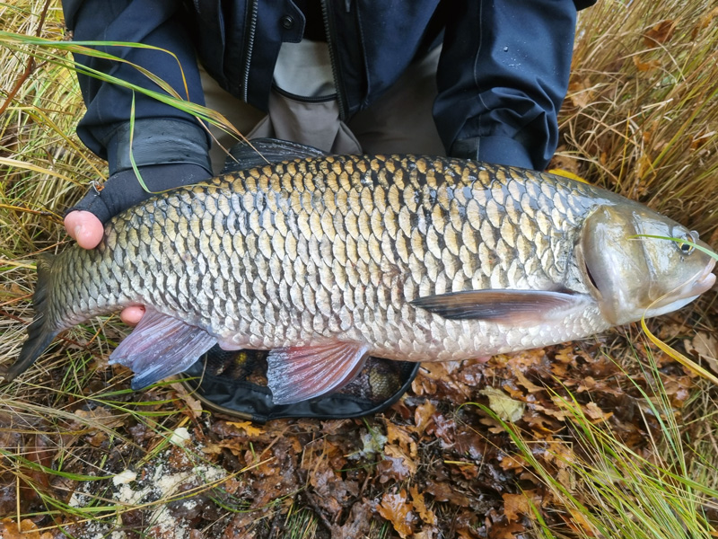 rekordstor-farna-202...