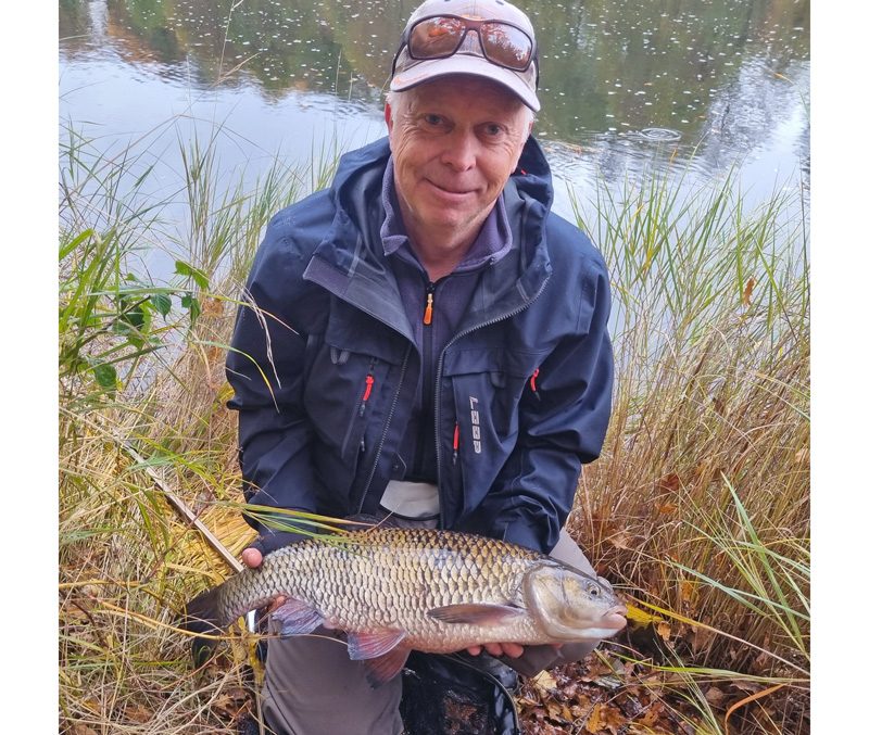 Enorm färna fångad på köttbulle