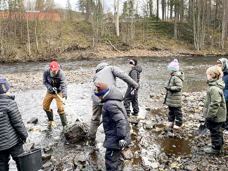 Sportfiskarna och Sonfjällsskolan skapade nytt liv i bäcken
