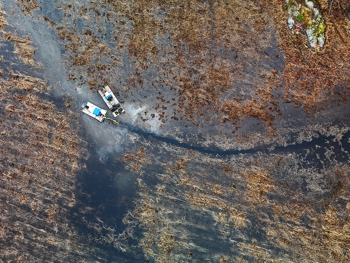 Kanal till mer fisk i Vänern 