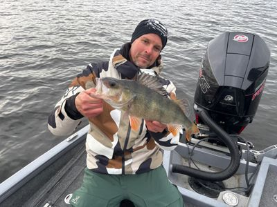 Abborre_DMSthlm_2026...