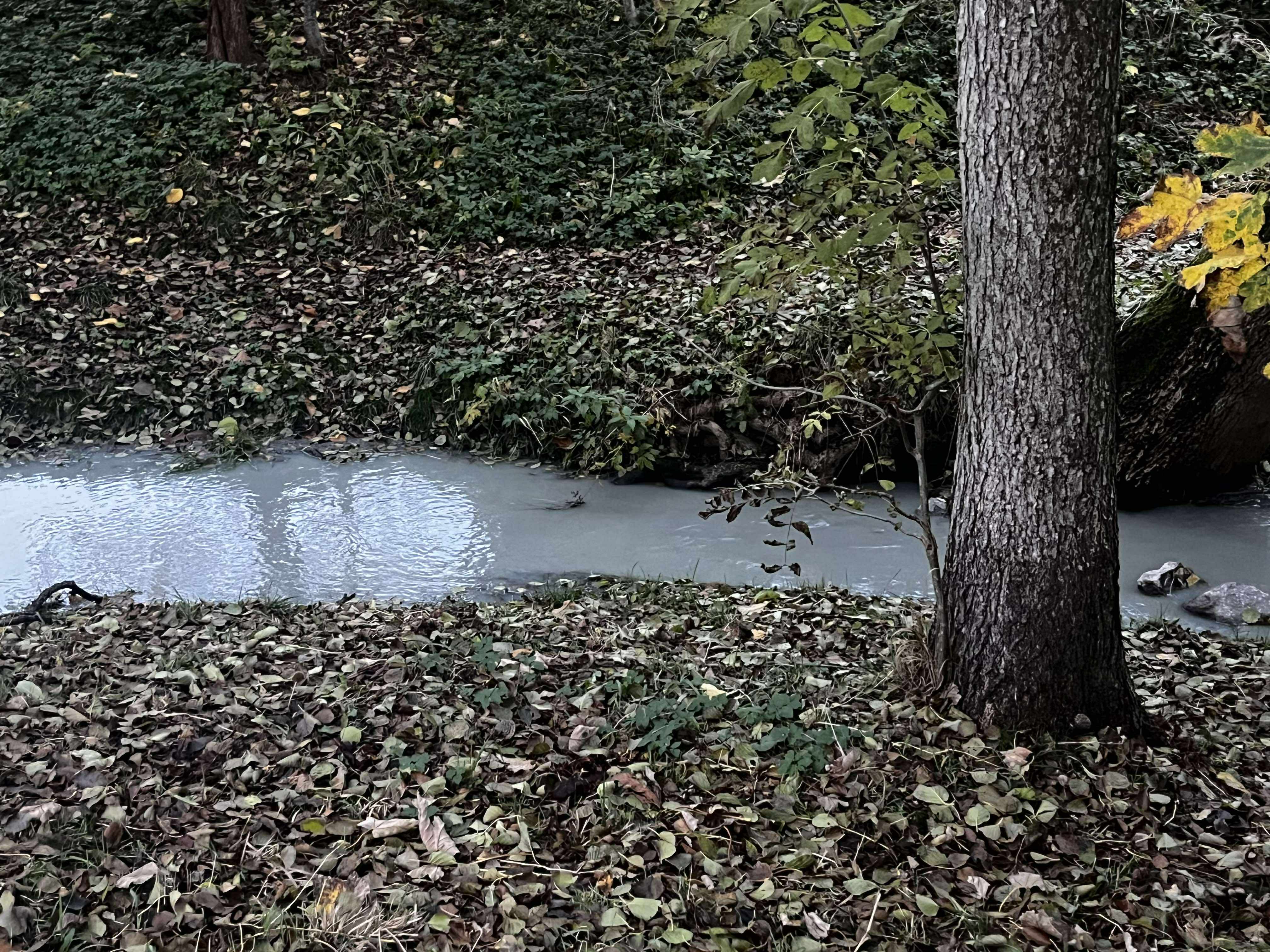 Vad släpper byggföretaget ut i Otterbäcken?