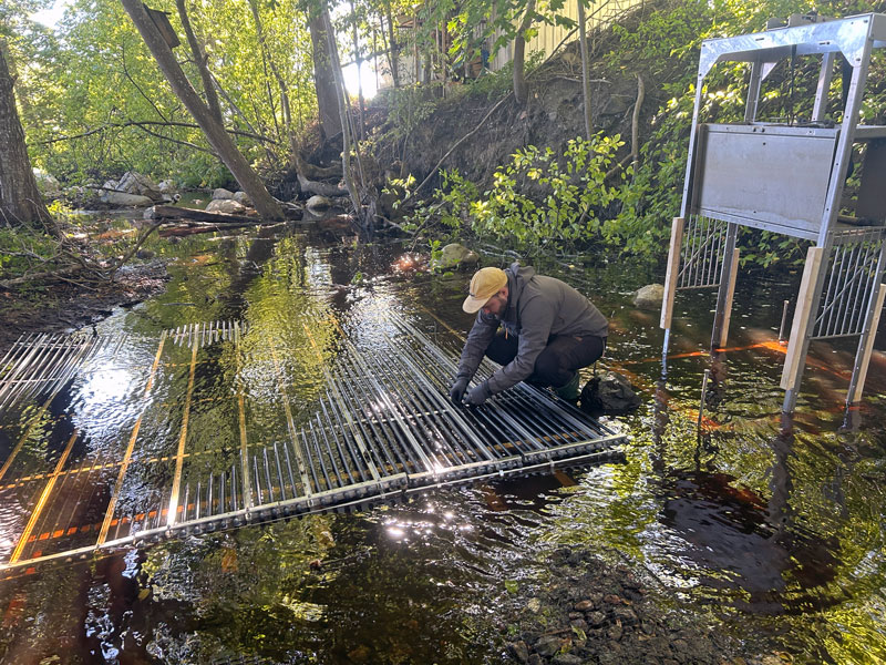 Navean-fiskkamera-sk...