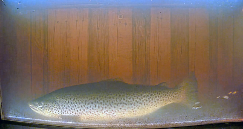 oring-navean-2025-80...