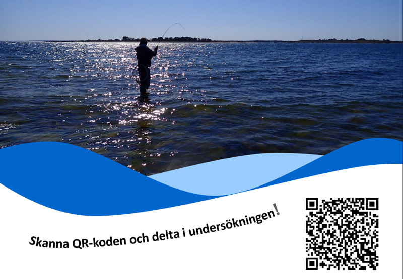 Hjälp till att öka kunskapen om sportfisket i Östersjön