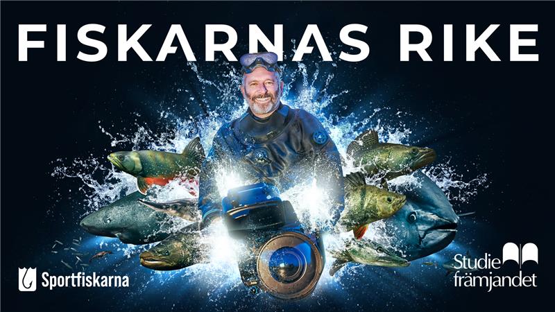 Ny turné med Falklind - nu kan du köpa biljetter!