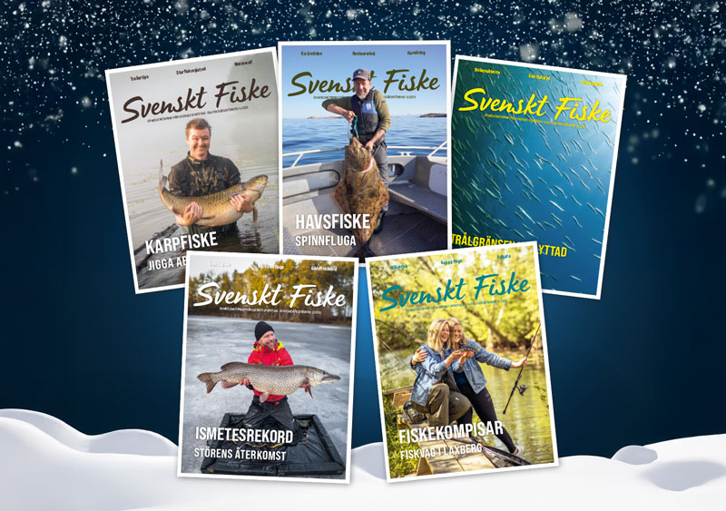 Omslag-SvF-2025-jul-...