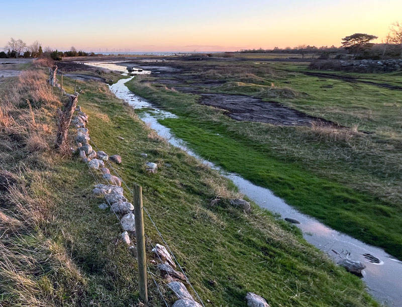 vaatmark-oland-2025-...