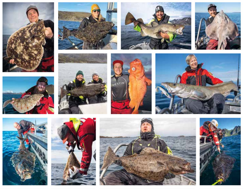 dromresa-nordic-sea-...