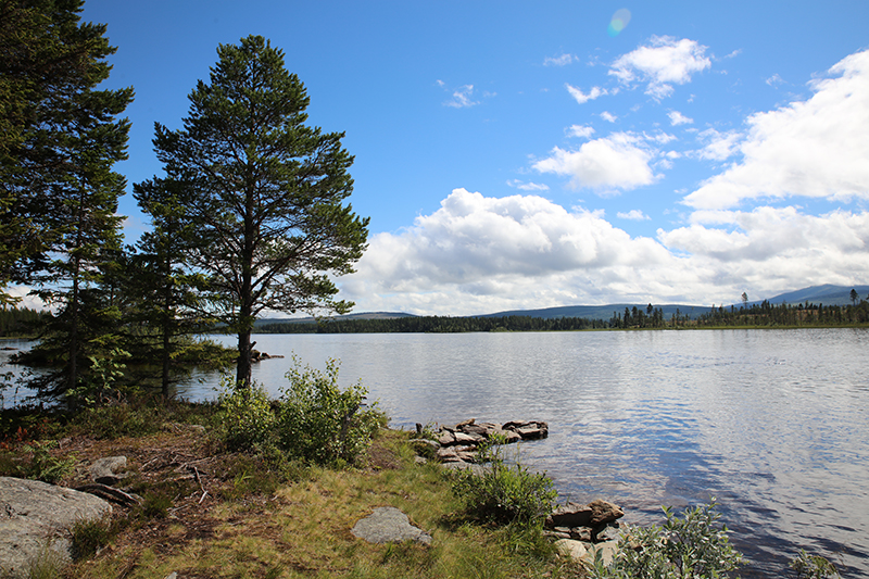 Foto-Bengt-Olsson-nr...