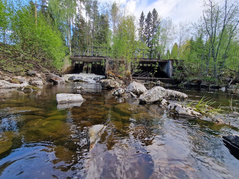 Nu startar nästa etapp i Stångån – två dammar rivs