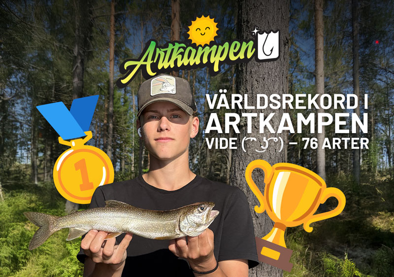 artkampen-vinnare-80...