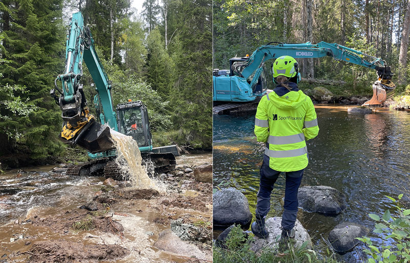 Nu leker livet för Spannåns öringar